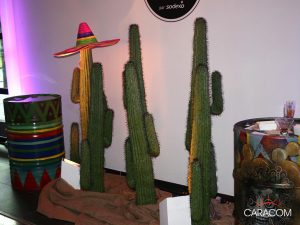 evenement-a-theme-indien-5