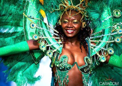 organisateur-de-music-hall-cabarets-et-revues-samba