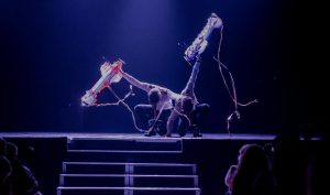 organisateur-evenements-caracom