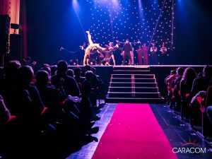 organisateur-soiree-gala-spectacle-dansant
