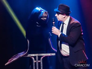 organisateur-spectacles-animaux-4