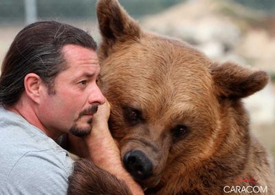 organisateur-spectacles-animaux-ours