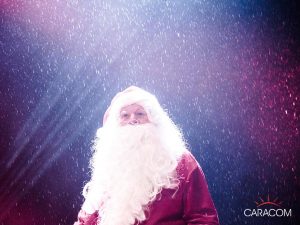 organisateur-spectacles-arbre-de-noel