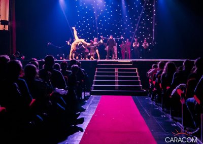 organisateur-spectacles-arbre-de-noel-danseurs