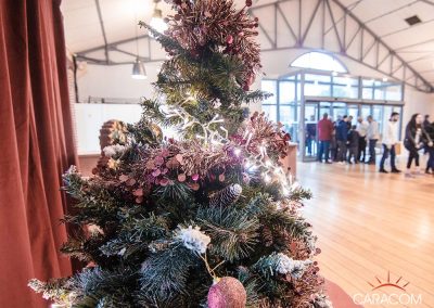 organisateur-spectacles-arbre-de-noel-salle