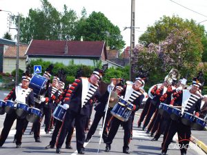 organisateur-spectacles-carnavals-musiciens