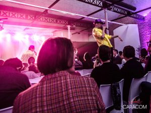 spectacle-soiree-entreprise