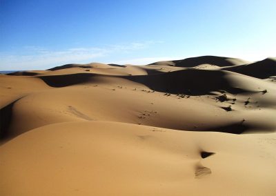 voyage-organise-desert