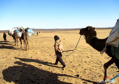 voyage-organise-desert-balade-2