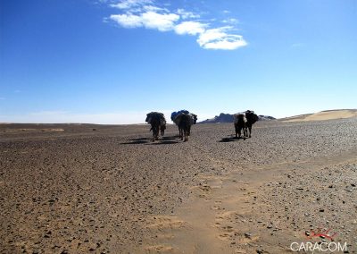 voyage-organise-desert-balade