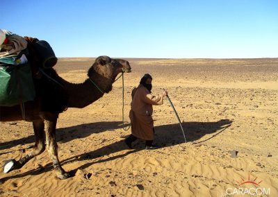 voyage-organise-desert-decouverte